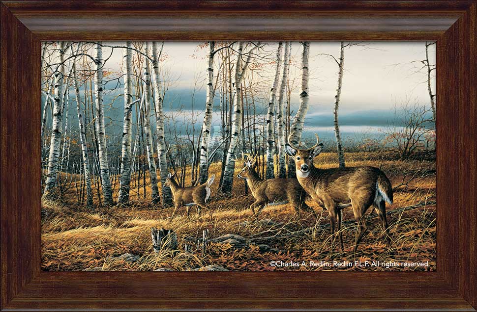 the-birch-line-deer-by-terry-redlin-F701135389Wd.jpg