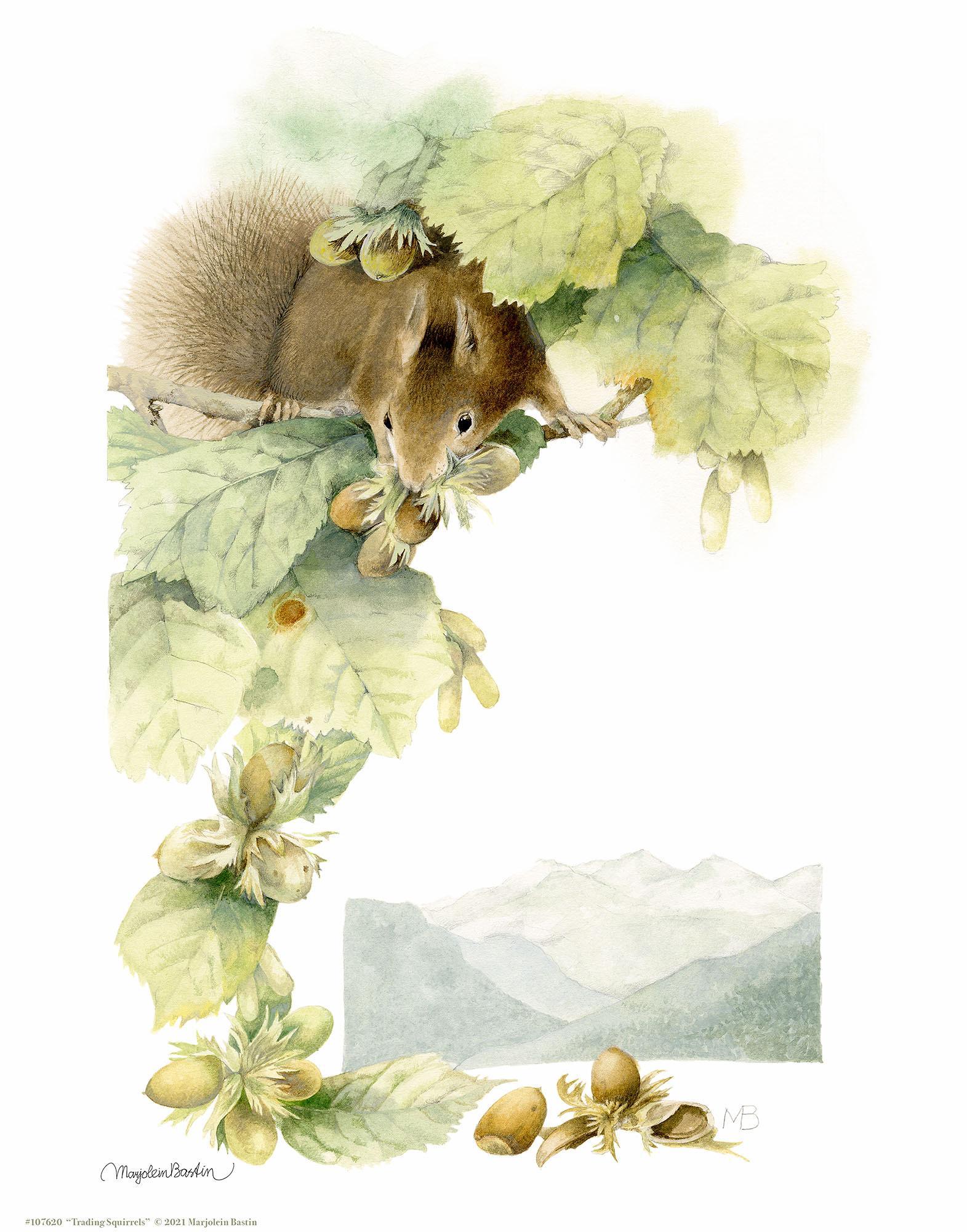 trading-squirrels-art-collection-1058781074IG.jpg
