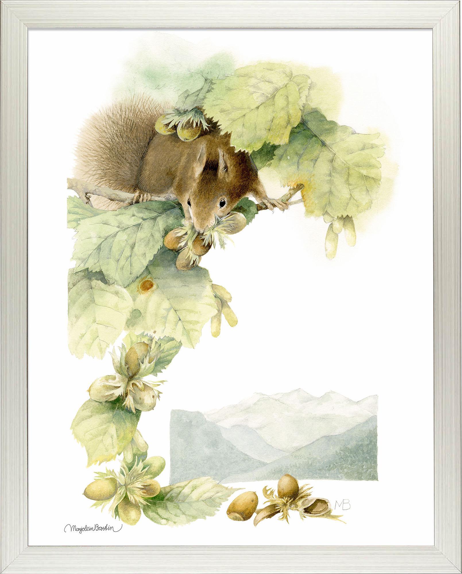 trading-squirrels-framed-print-F058781074S.jpg