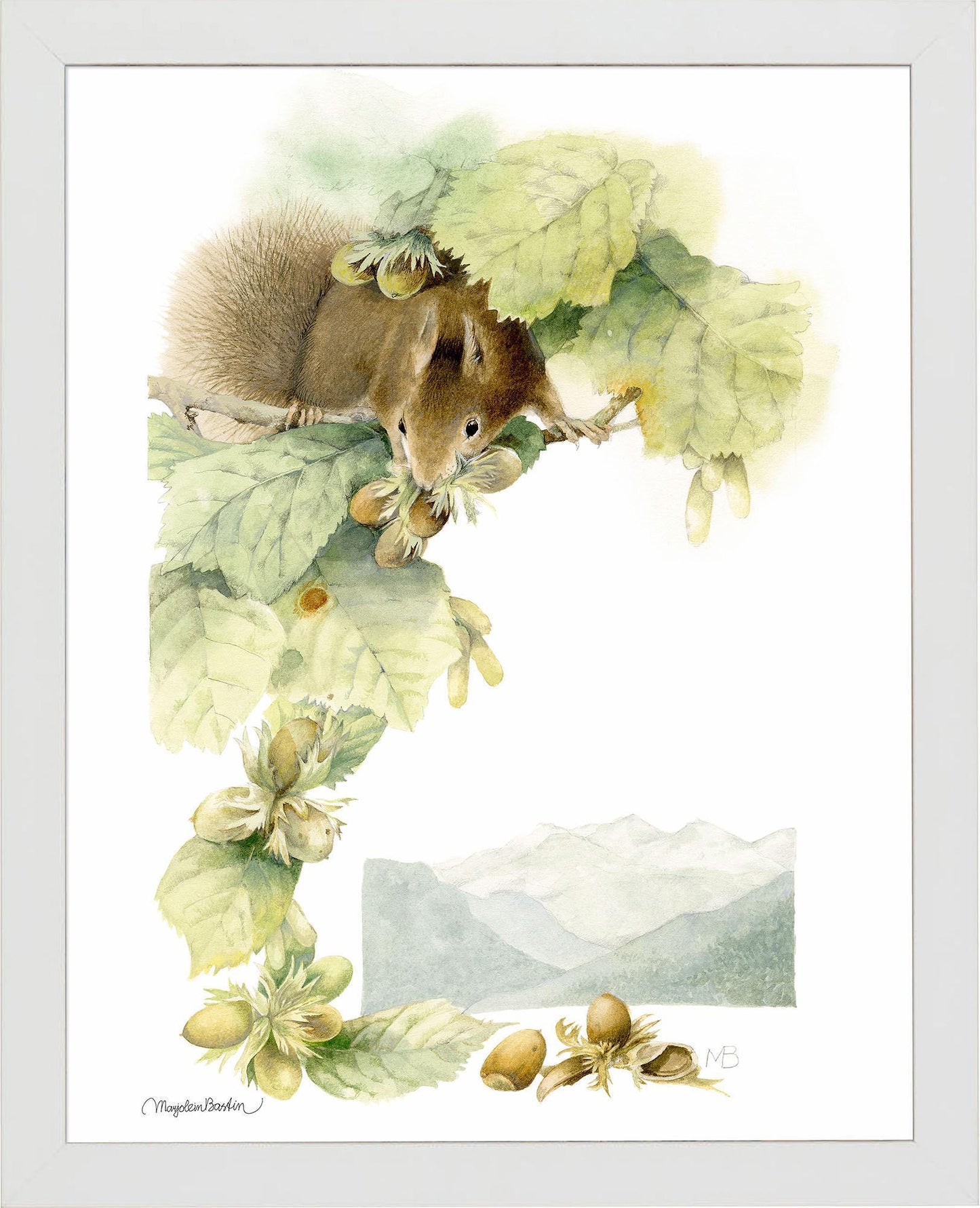 trading-squirrels-framed-print-F058781074W.jpg