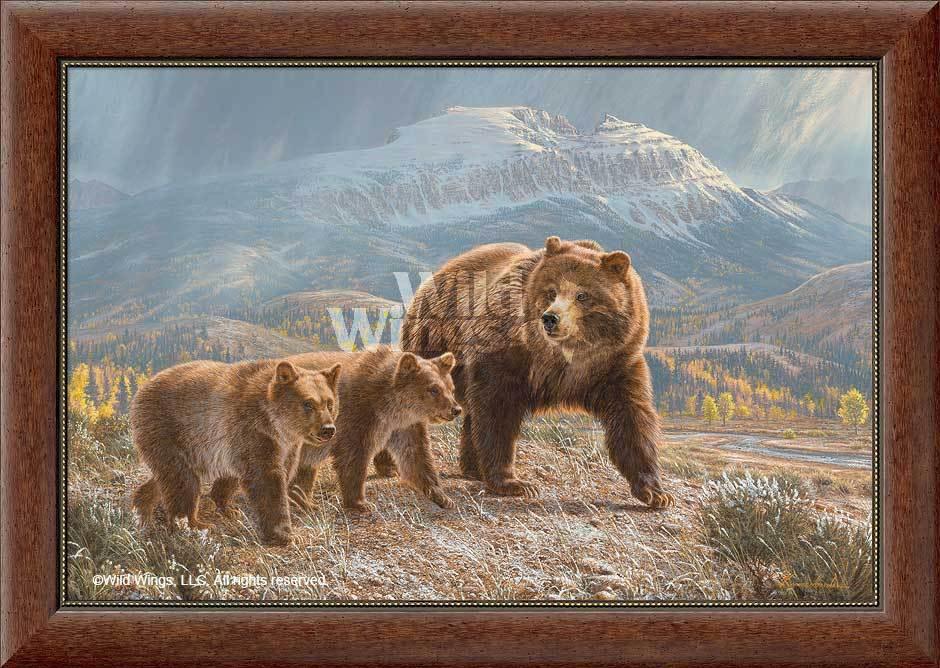 under-the-sleeping-giant-grizzly-bears-kromschroeder-premier-giclee-canvas-edition-framed-F476790475d_f50ffe6c-adee-45e4-8bb2-90a81b8d8048.jpg
