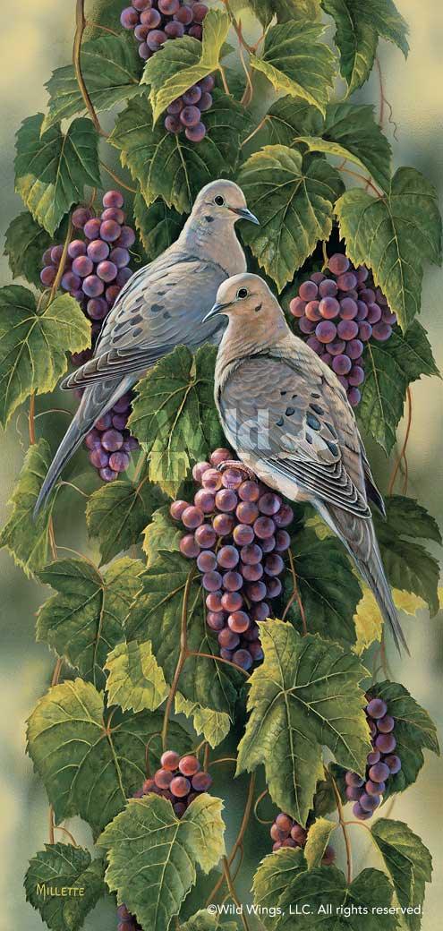 vineyard-mourning-doves-art-print-by-rosemary-millette-1593793035d_48500e2c-9455-4ba3-a88d-3b9b61bb4177.jpg