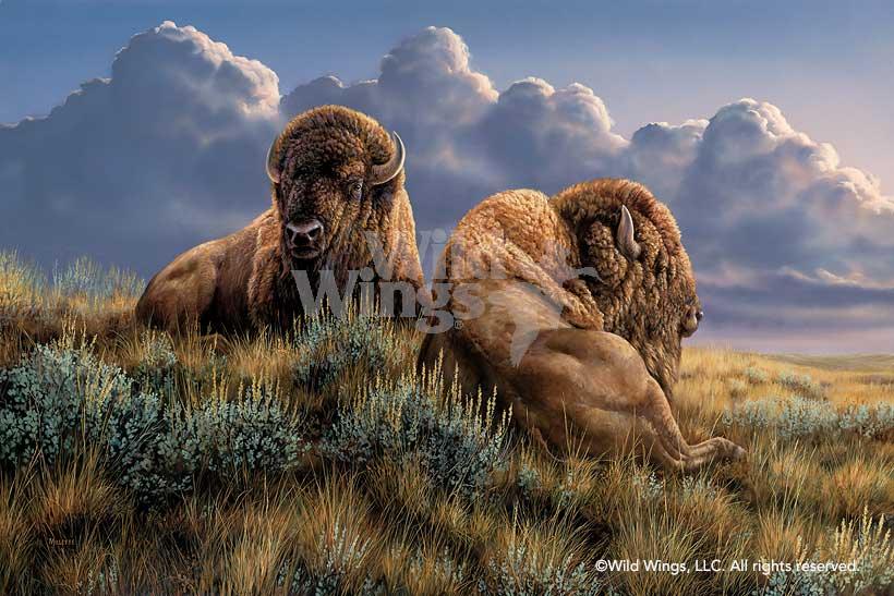 western-wildlife-art-the-old-timers-bison-by-rosemary-millette-1593568069d_5d828679-ac90-42a5-9b58-f747e465ceca.jpg
