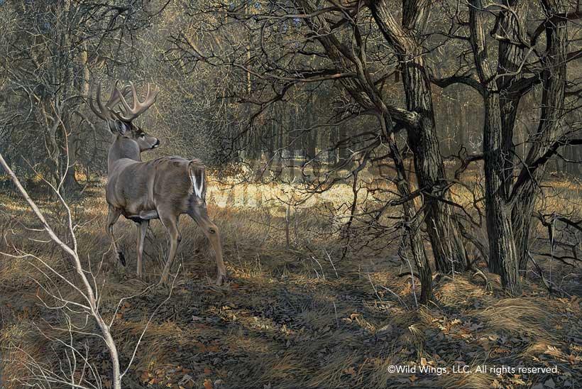 whitetail-deer-art-monarch-by-scot-storm-1830579065d_d8da4f56-1324-4a78-8fe2-f55a6ee99c99.jpg