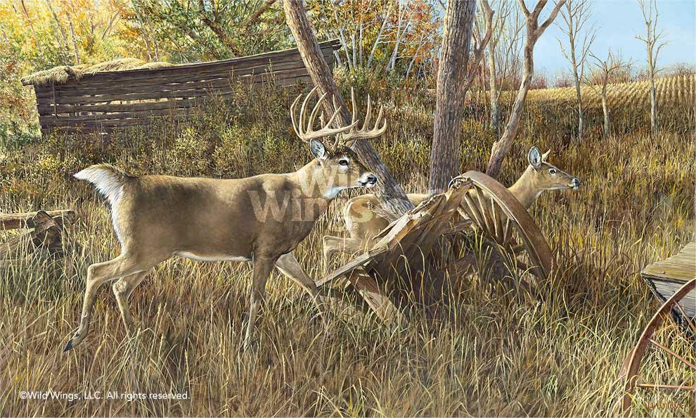 whitetail-deer-art-print-old-homestead-buck-by-ron-van-gilder-1913504665d.jpg