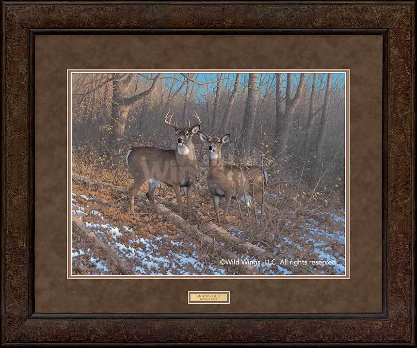 whitetail-deer-framed-art-by-michael-sieve-EPR7804265Dd_013c75ac-5424-43ec-9a43-86c2d6292163.jpg