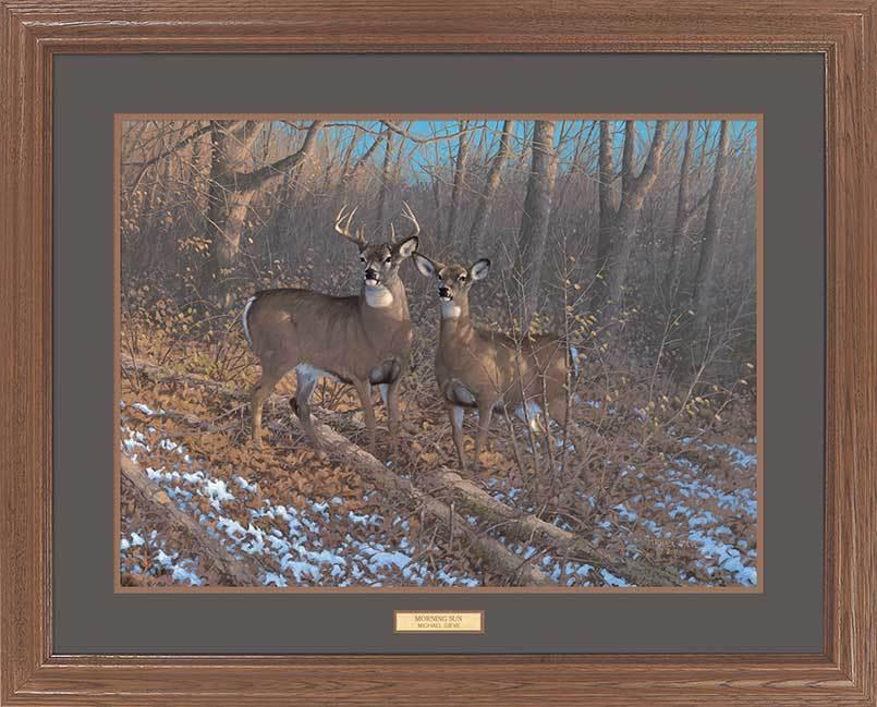 whitetail-deer-framed-art-print-by-michael-sieve-EPR7804265d_094bc97f-acd6-419a-a529-1090ea307640.jpg