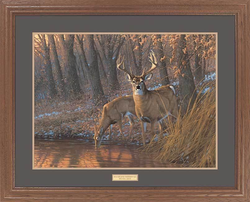 whitetail-deer-framed-art-print-by-michael-sieve-EPR7809165d_db0704f9-ff2b-47cc-bf66-59edc7e4476b.jpg