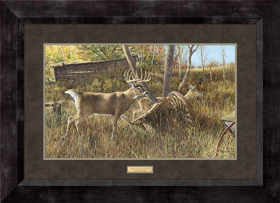 whitetail-deer-framed-art-print-old-homestead-buck-by-ron-van-gilder-F913504665d.jpg
