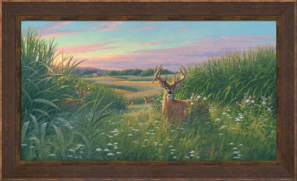 whitetail-deer-framed-canvas-art-red-velvet-by-michael-sieve-F780660465d.jpg