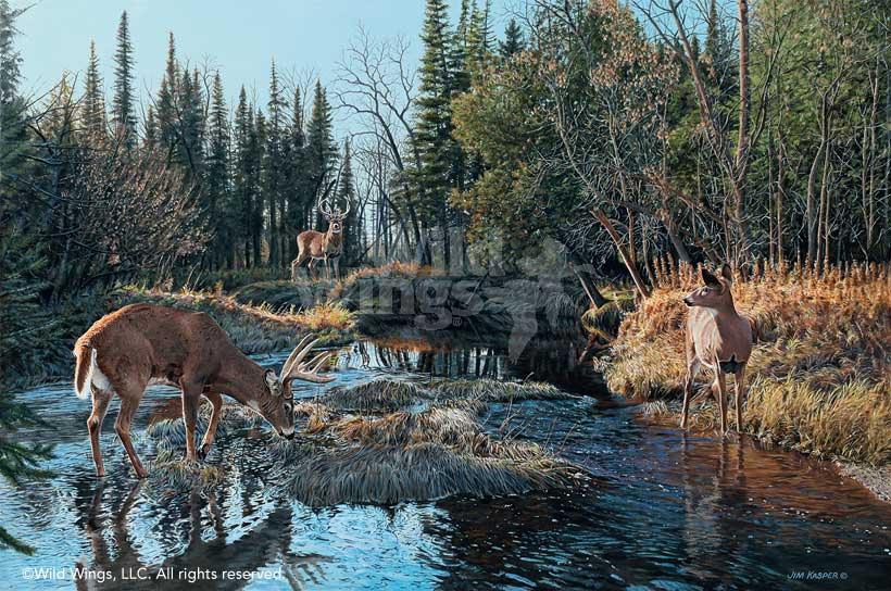 whitetail-deer-painting-trespassing-by-jim-kasper-A423757565d_acdec325-5889-4a43-87f7-0dccd836836b.jpg