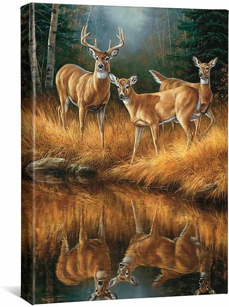 whitetail-reflections-gallery-wrapped-canvas-rosemary-millette-F593862465CGW_b5d6e9f7-be89-4175-b3bf-14ef0c7b0741.jpg