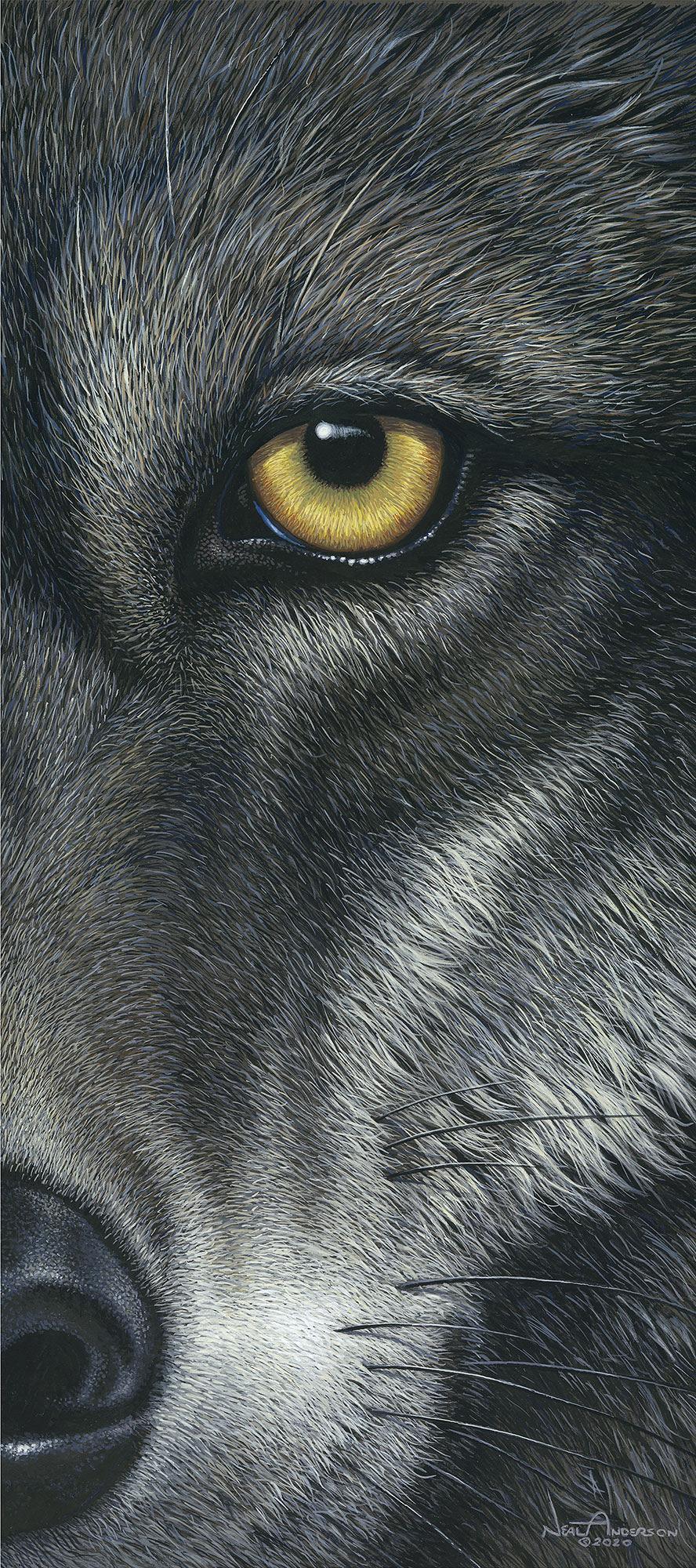 whos-afraid-wolf-art-collection-1028853075IG.jpg