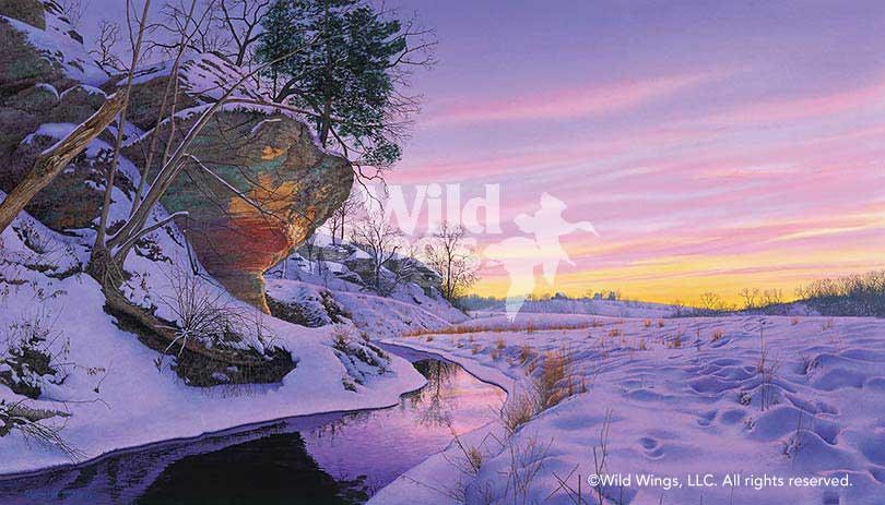 winter-landscape-art-print-peaceful-bluff-reflection-by-steven-kozar-1470612589d.jpg