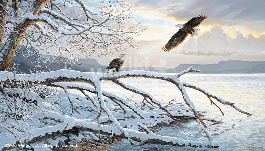 winter-majesty-bald-eagles-art-print-by-persis-clayton-weirs-1925867032d_4b04e77f-8e22-4bbb-88b2-34f344f8bd27.jpg