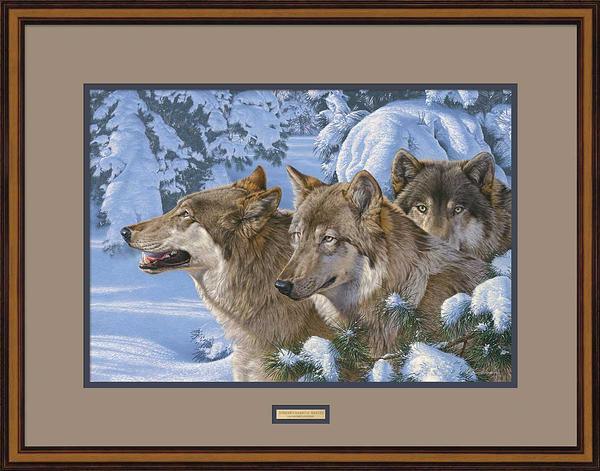 winter_s-warmth-wolves-kromschroeder-framed-print-F476891071.jpg