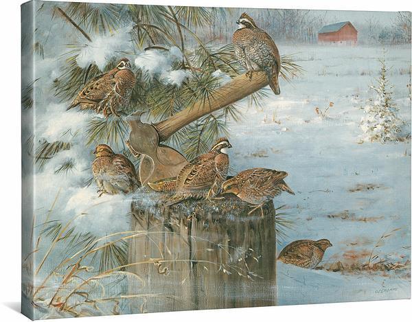 wintering-quail-gallery-wrapped-canvas-owen-gromme-F360881181CGW_041fee74-2159-4da3-8bd1-f48308398806.jpg