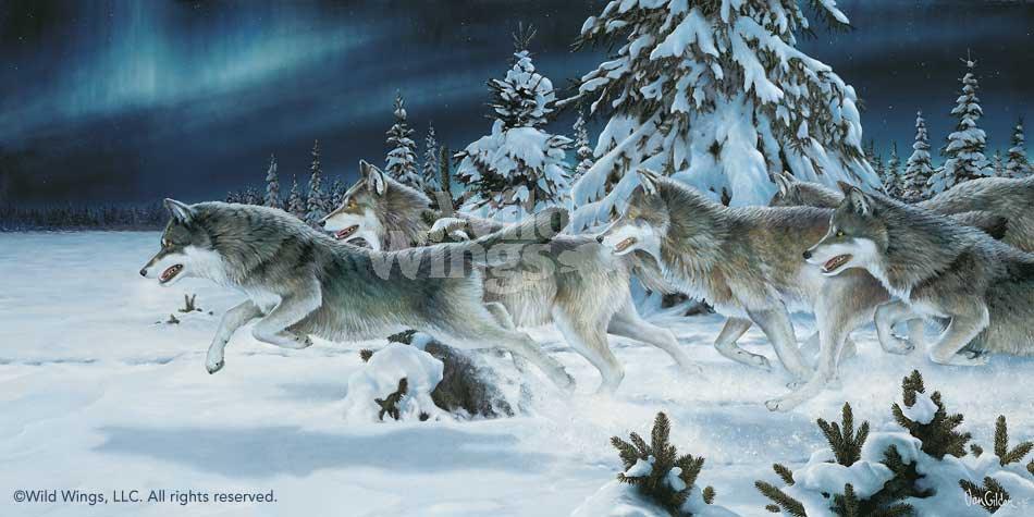 wolves-art-print-midnight-run-by-ron-van-gilder-1913490071d_f0ed02c1-8bf8-4fc0-9425-29d67477d125.jpg
