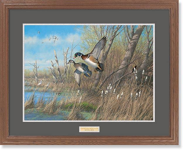 wood-ducks-framed-art-print-sundays-best-by-michael-sieve-ELT2414005d_e3c8b236-50a8-4da7-a6bf-c37c99420e9a.jpg
