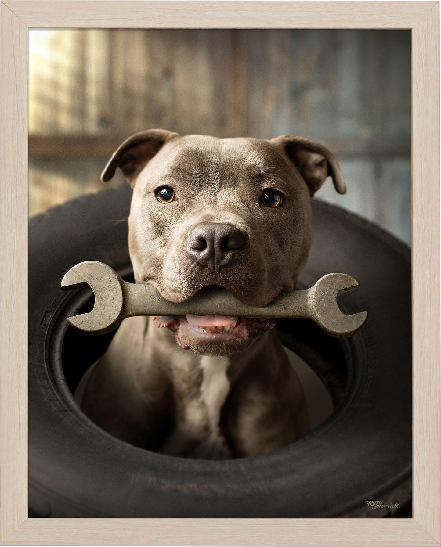 wrench-pitbull-terrier-framed-print-F759950062N.jpg