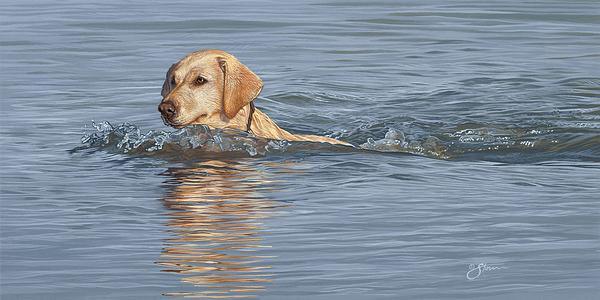 yellow-lab-swimming-group-1830972056IG_7b9bd0b4-45b2-47f8-afae-f2428885f04e.jpg