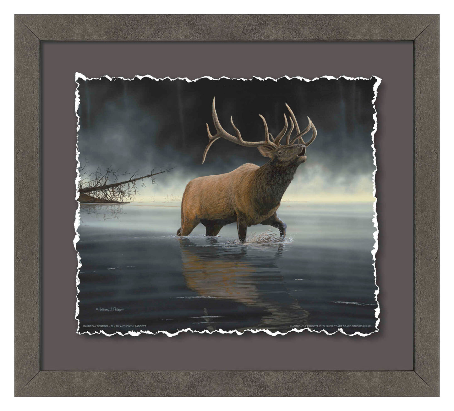 Daybreak Sentinel—Elk