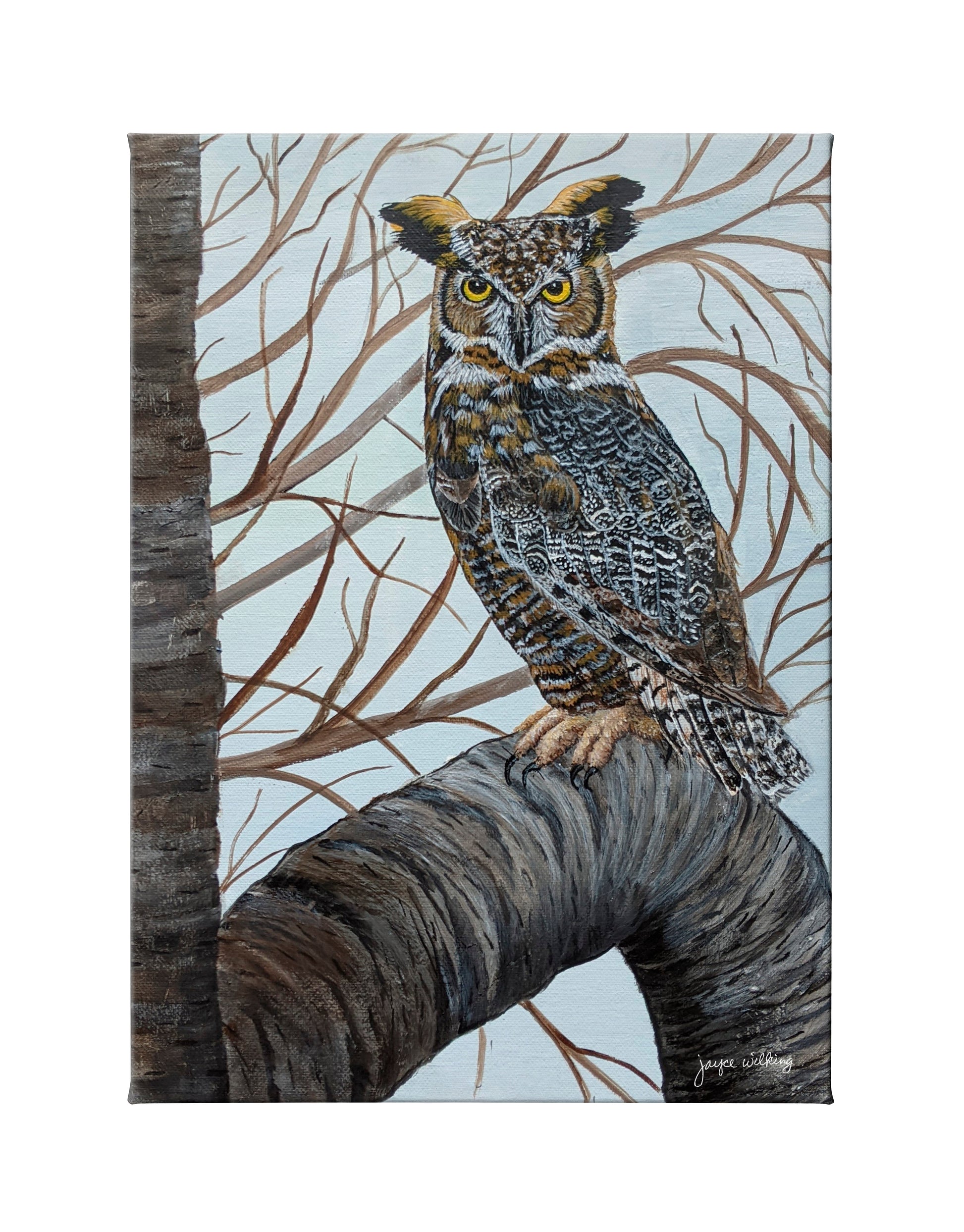 155336_Great Horned Owl in Trees_13x18_CGW_F.jpg