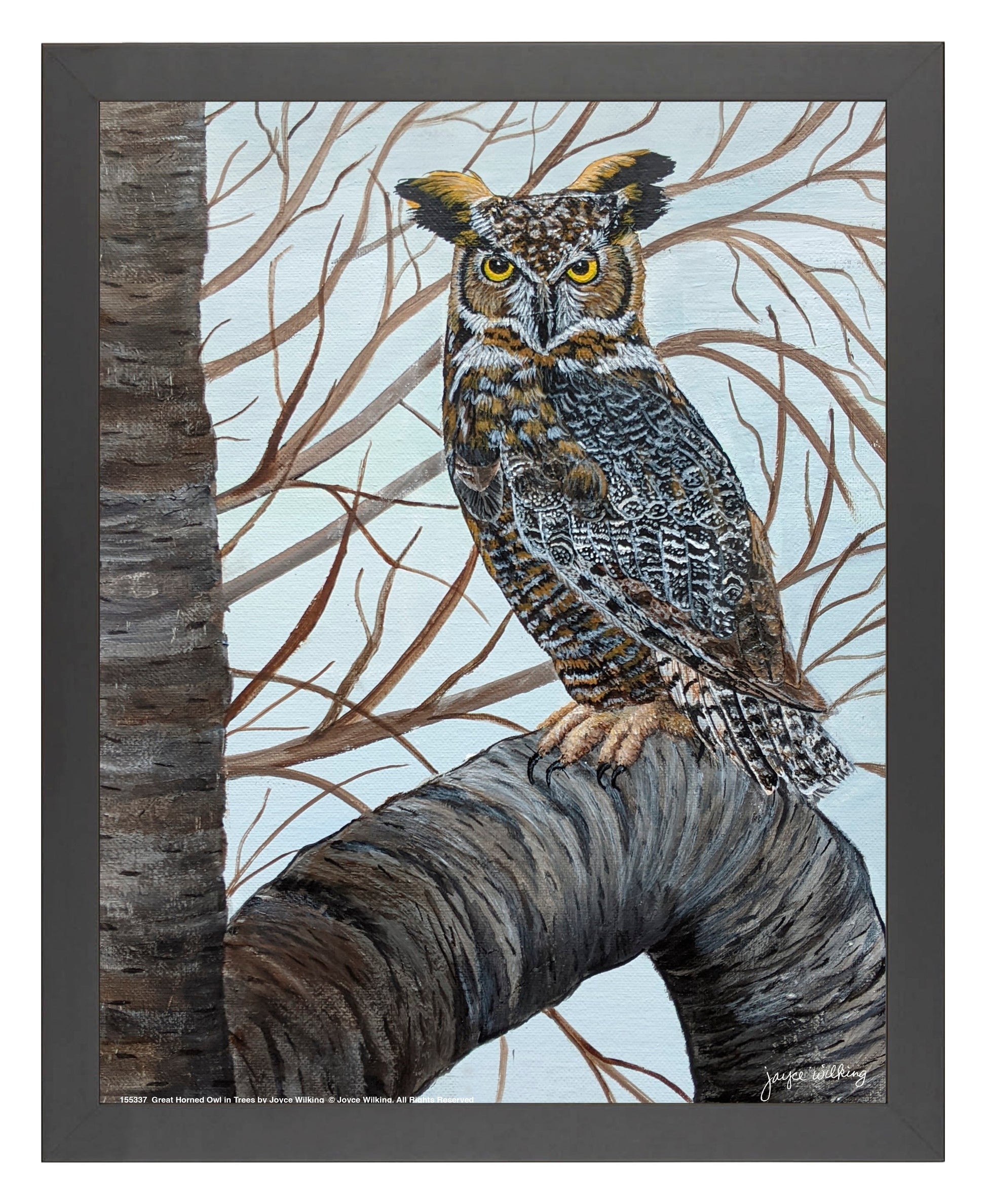 155338_Great Horned Owl in Tree_11x14_FRA_BLACK.jpg