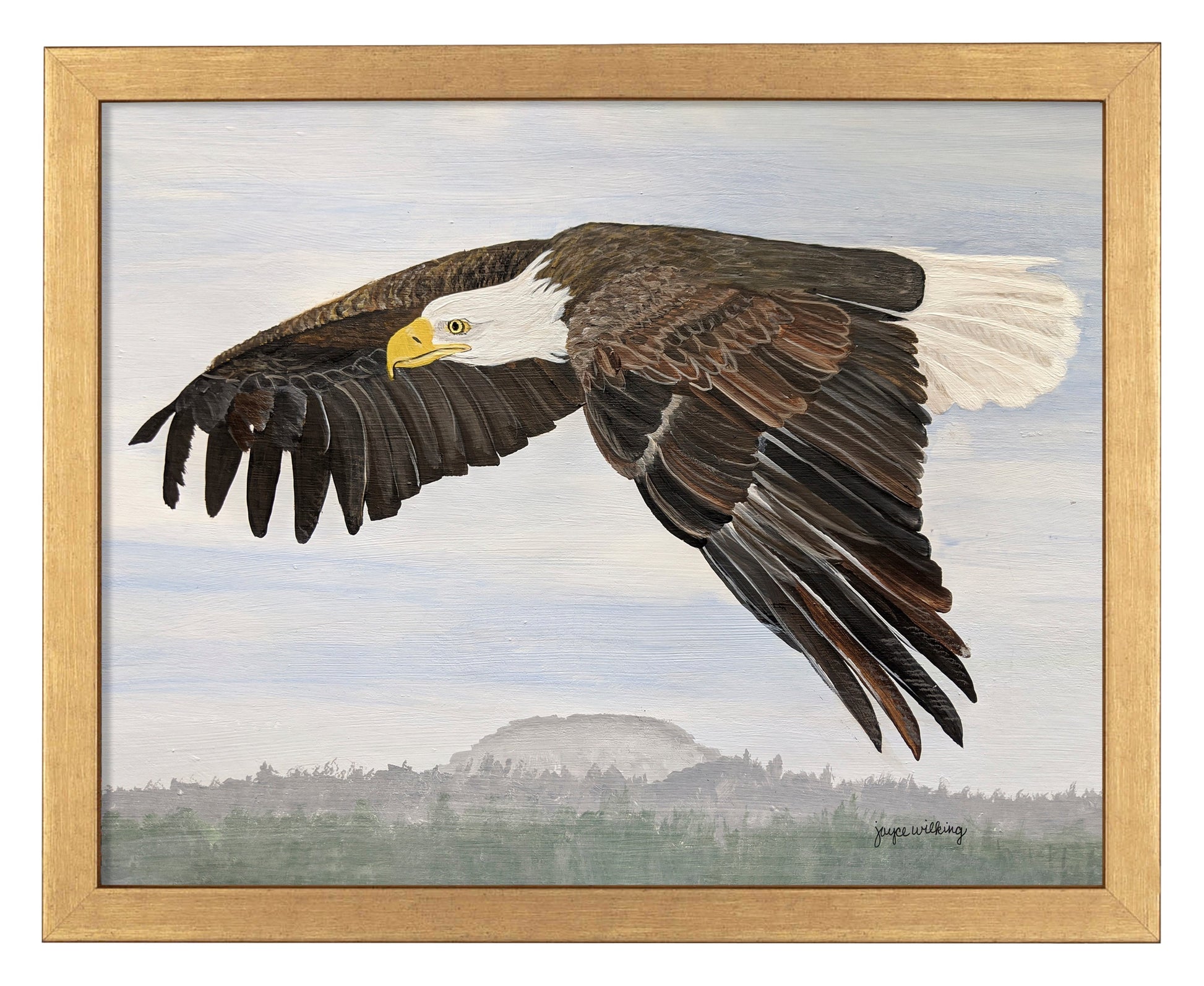 Bald Eagle Flying Bent Wing - Art Prints