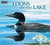 Loons on the Lake 2020 Calendar - Wild Wings