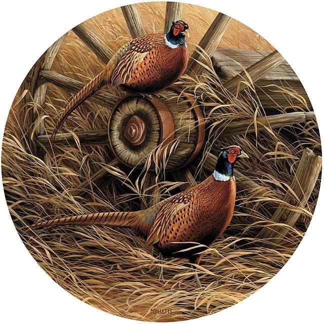Pheasant Coasters - Wild Wings