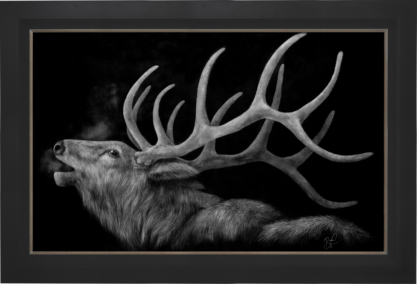 45931_Ascendance-Elk_City-Black.png