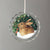 Snowy Cheer - Bunny Round Glass Ornament - Wild Wings