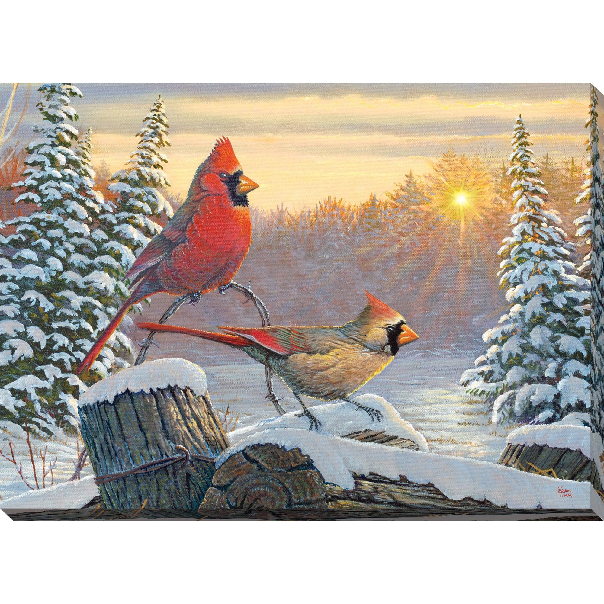 Morning Sun—Cardinals Lighted Wrapped Canvas - Wild Wings