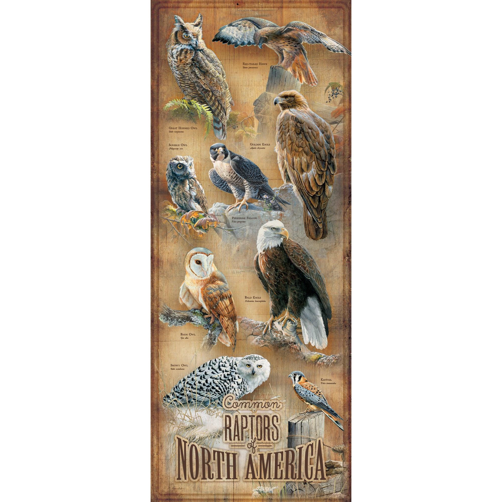 Common Raptors of North America 12" x 30" Wood Sign - Wild Wings