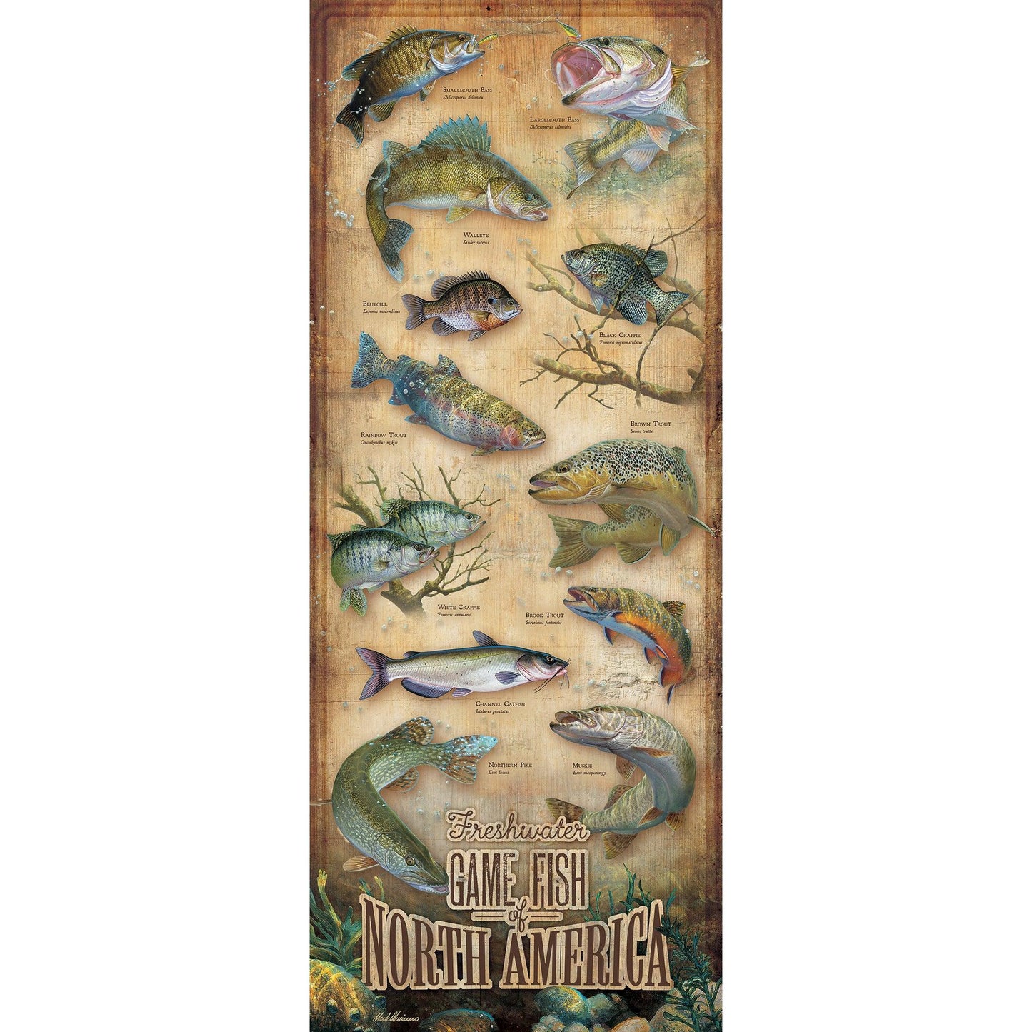 Freshwater Fish of North America 12" x 30" Wood Sign - Wild Wings