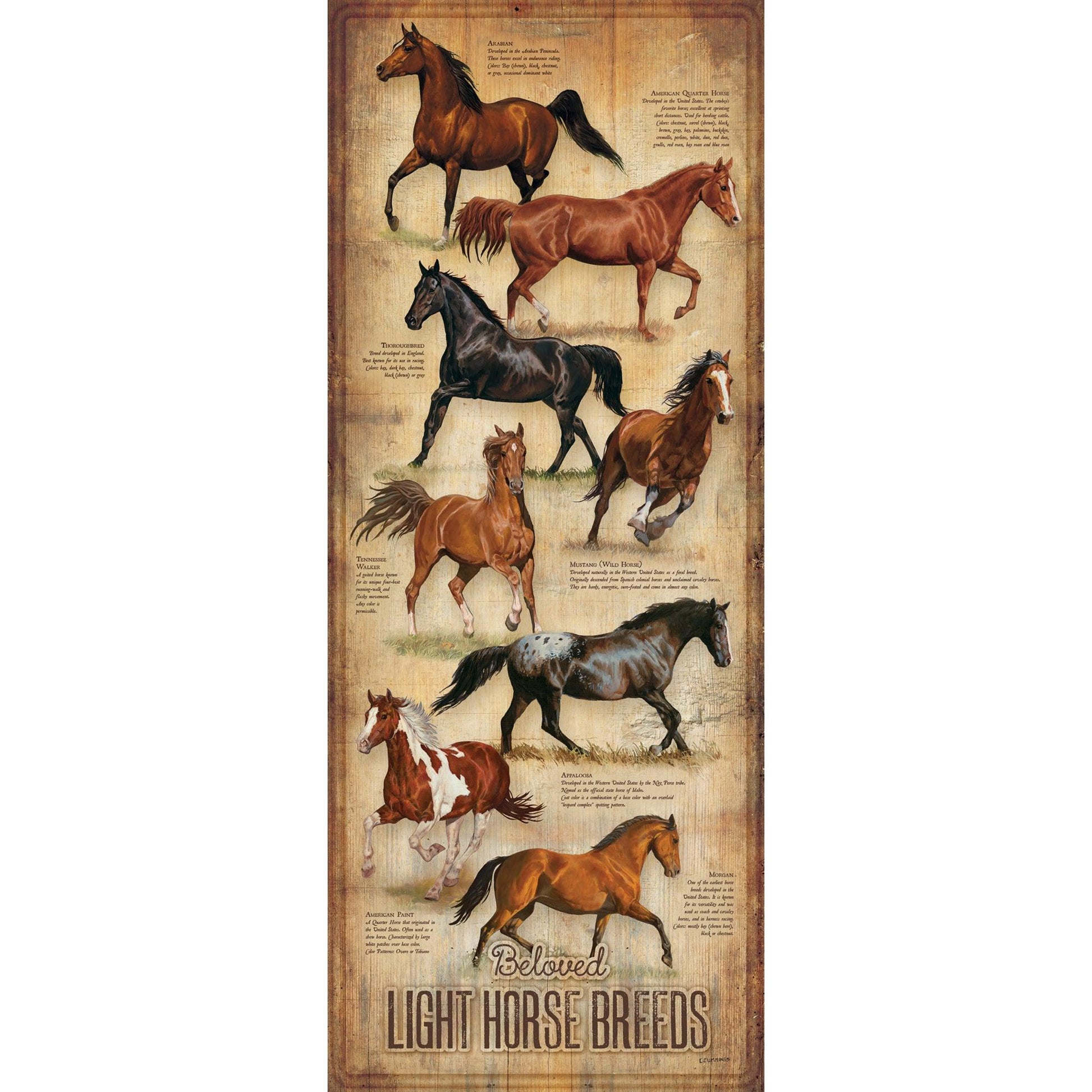 Beloved Light Horse Breeds 12" x 30" Wood Sign - Wild Wings