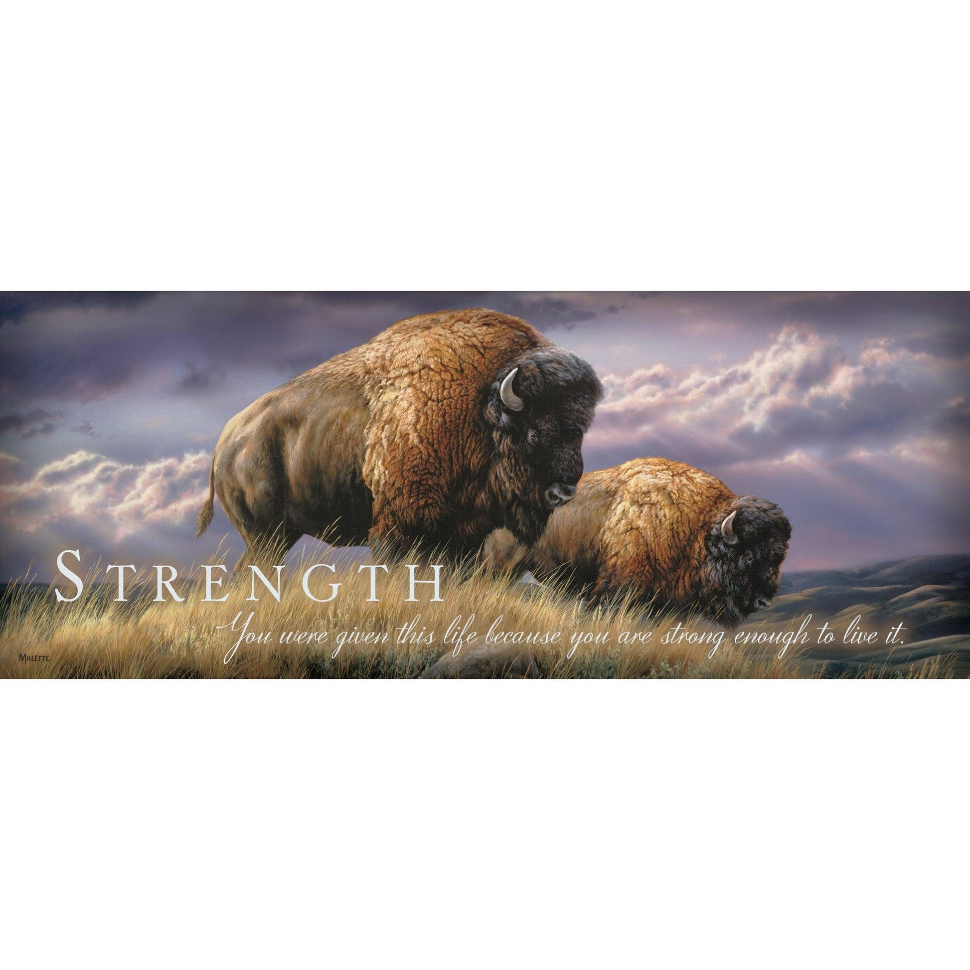 Strength - Bison 12" x 30" Wood Sign - Wild Wings