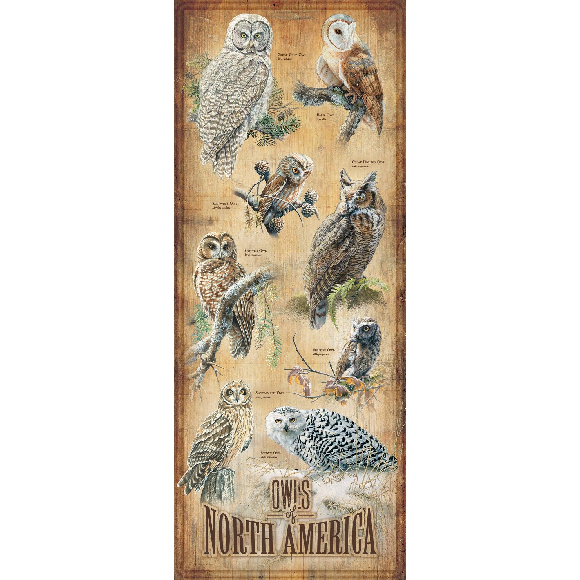 Owls of North America 12" x 30" Wood Sign - Wild Wings