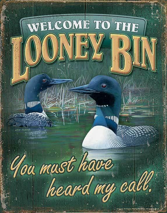 Looney Bin Tin Sign - Wild Wings