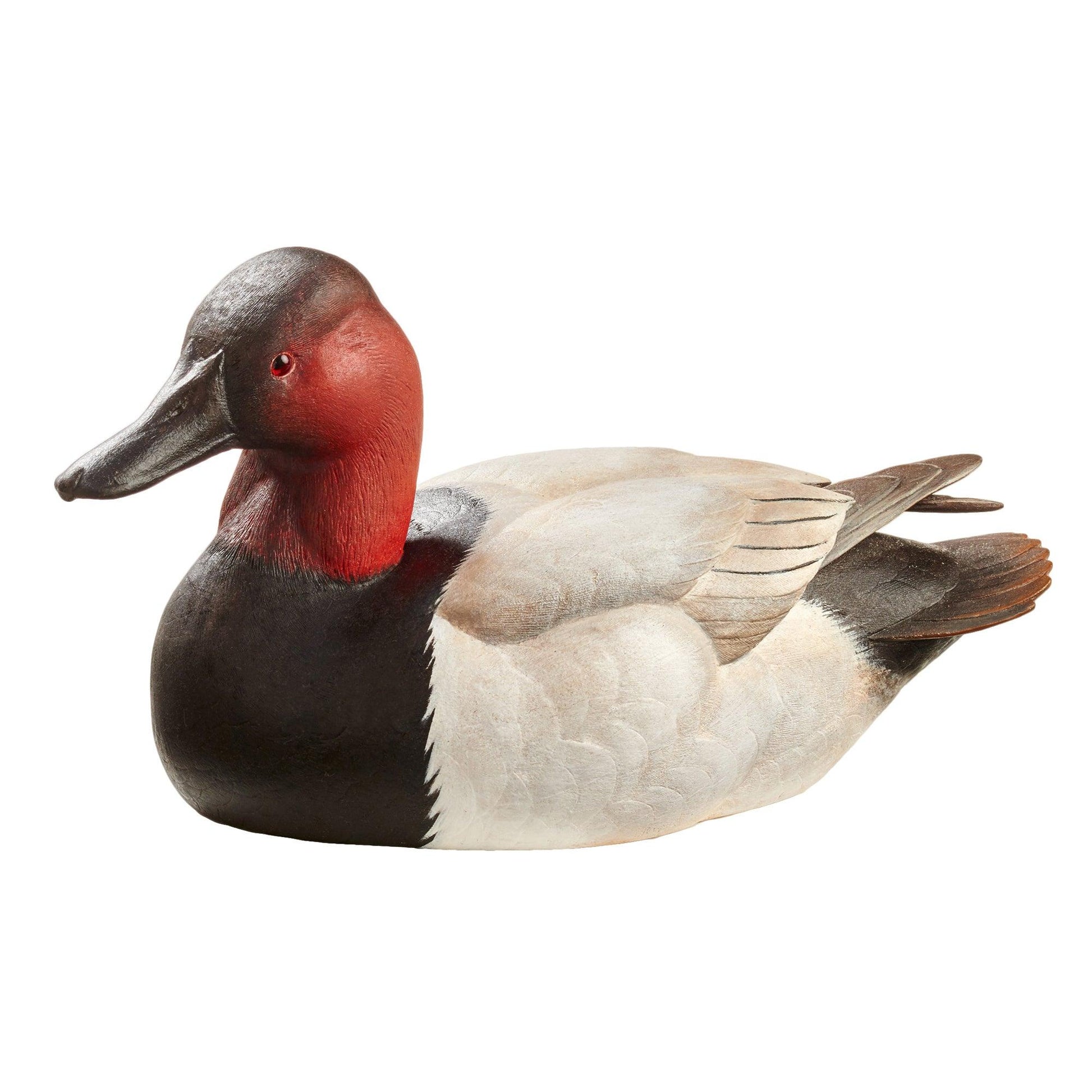 Canvasback Small Decoy - Wild Wings