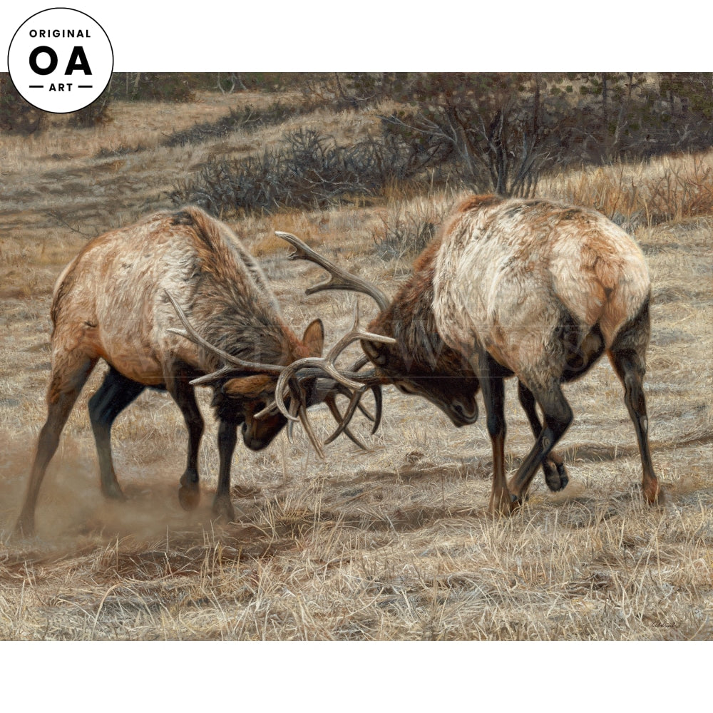 Anything for Love—Elk Original Oil Painting - Wild Wings