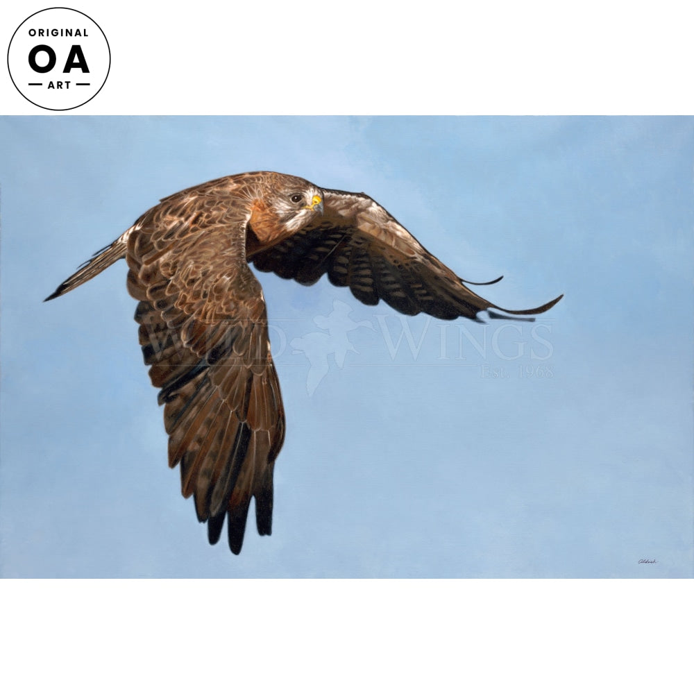 Wingman—Swainson's Hawk Original Oil Painting - Wild Wings