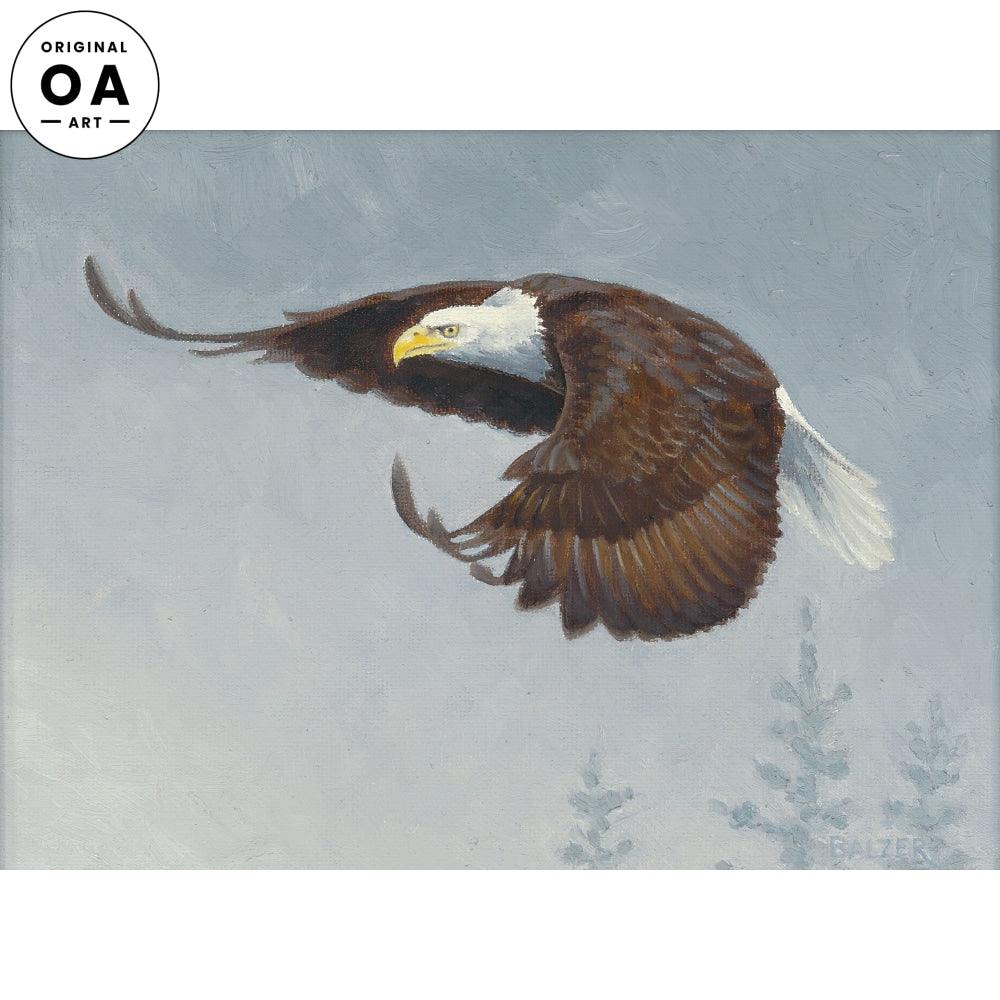 Eagle in Flight Original Oil Painting - Wild Wings