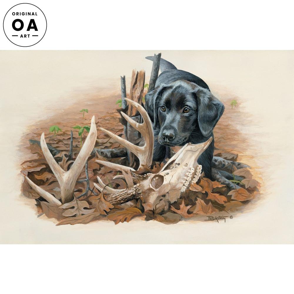Beginner's Luck—Black Lab Pup with Antlers and Skull Original Acrylic Painting - Wild Wings