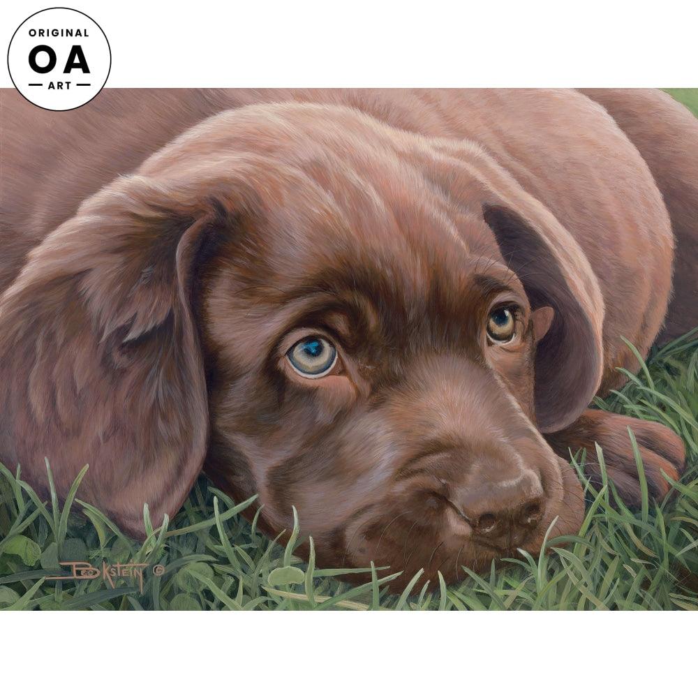 Patiently Waiting—Chocolate Lab Puppy Original Acrylic Painting - Wild Wings