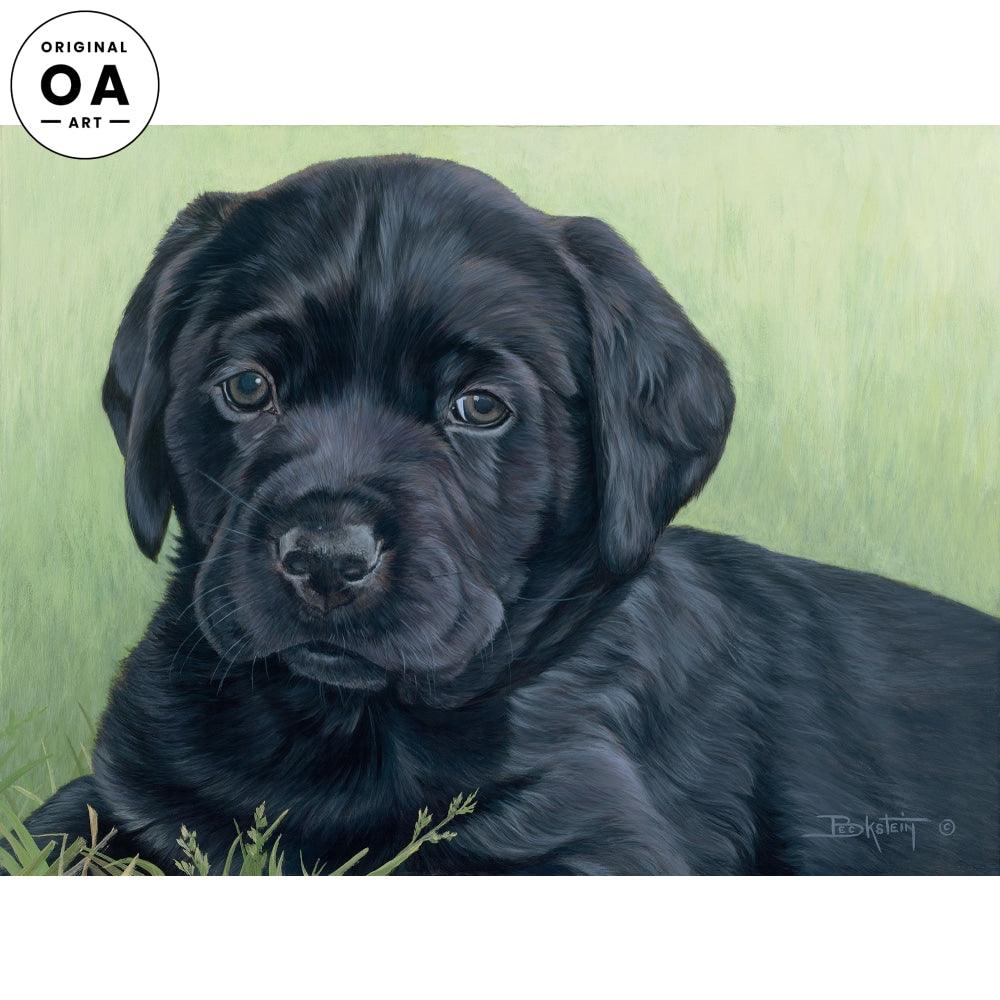 Teal—Black Lab Puppy Original Acrylic Painting - Wild Wings