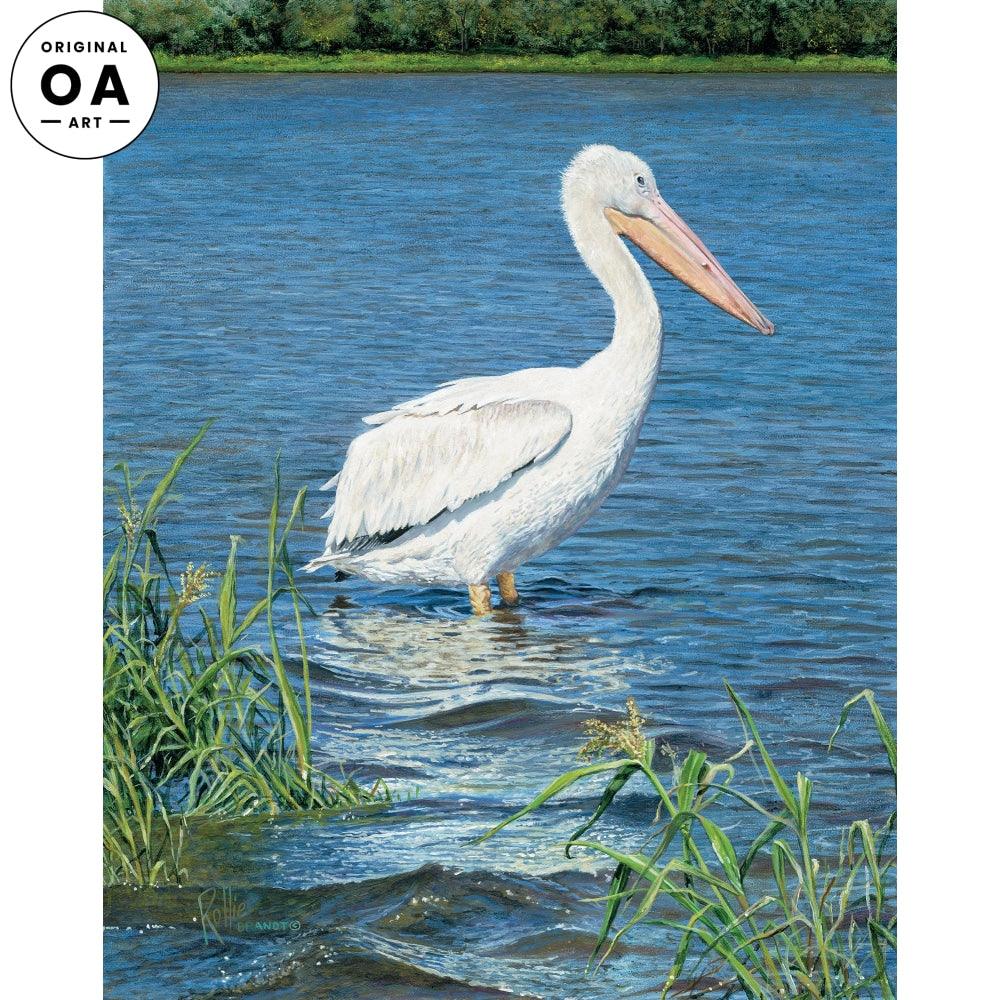 Backwater—Pelican Original Acrylic Painting - Wild Wings