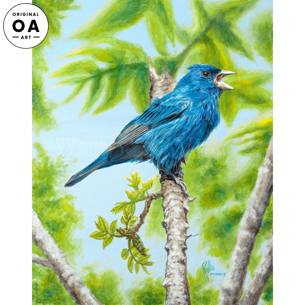 Out of the Blue—Indigo Bunting Original Acrylic Painting - Wild Wings