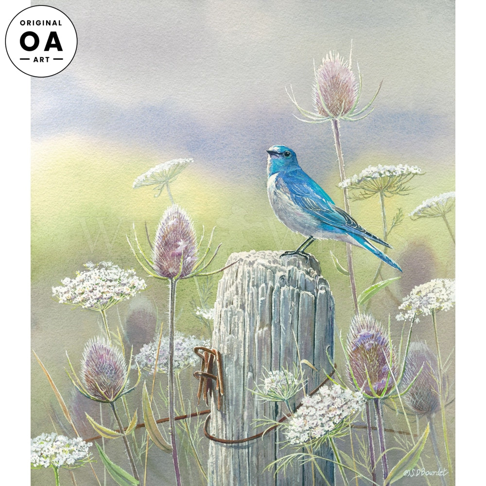 Misty Meadow—Mountain Bluebird Original Watercolor Painting - Wild Wings